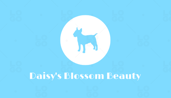 Daisy's Blossom Beauty